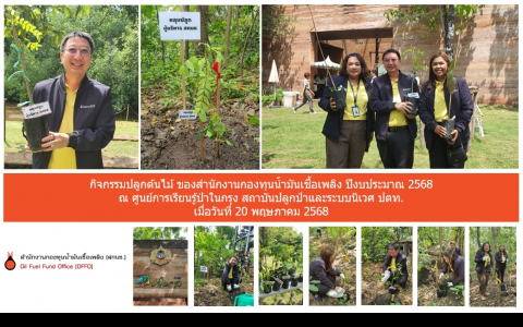 ภาพรวม1