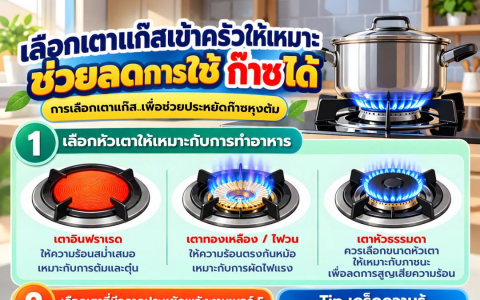 เลือกเตาแก๊สเข้าครัวให้เหมาะ ช่วยลดการใช้ก๊าซได้