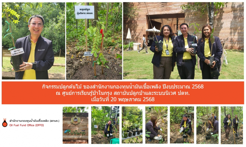 ภาพรวม1