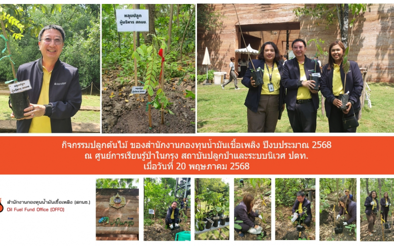 ภาพรวม1