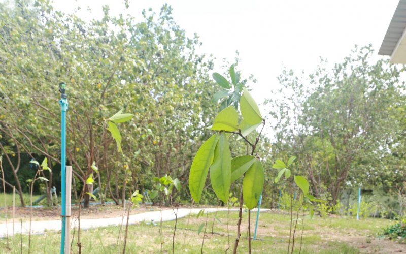 ภาพกิจกรรม14